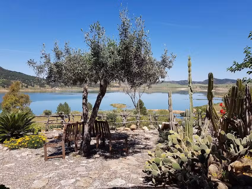 El Arpa