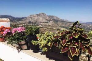 El &Aacute;tico de La Casa Viva