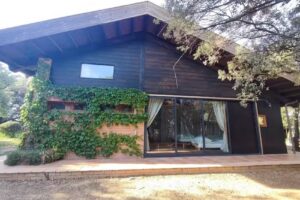 El Bosque de Ali Baba