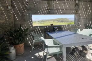 El Bosque L&aacute;cteo