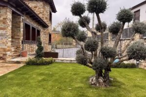 El Bulin de Redue&ntilde;a