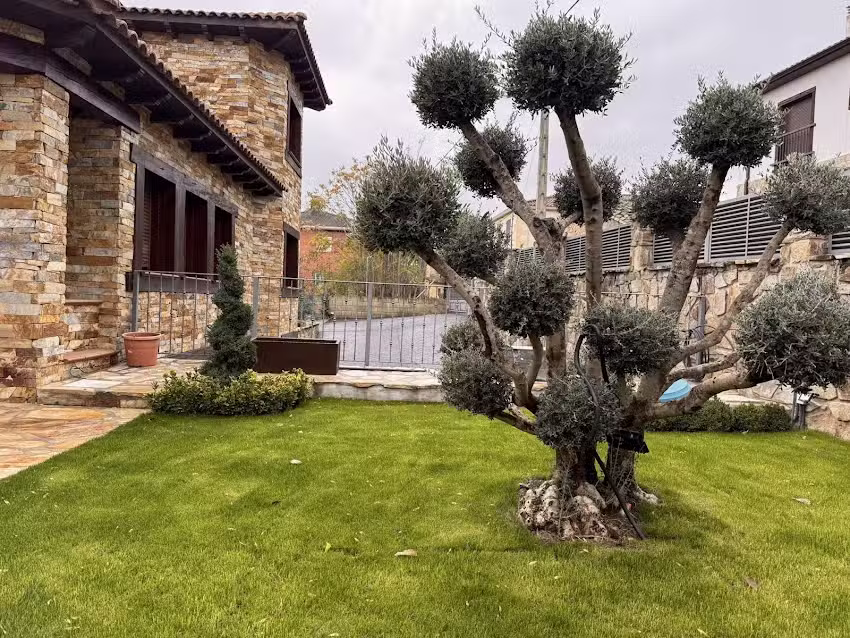 El Bulin de Redue&ntilde;a