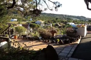 El Caracol – Alquiler de Apartamentos en Isla de Hierro