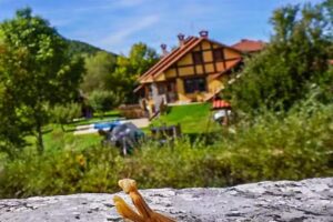 El Casar del Puente I y II