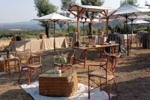 El Castell de Seguer&oacute;