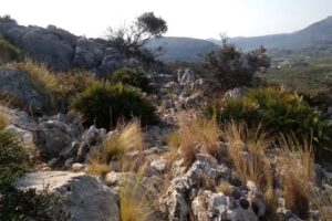 El Castellet, casa rural