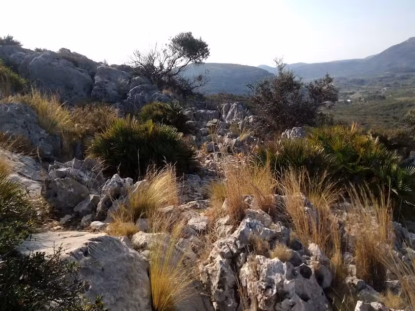 El Castellet, casa rural