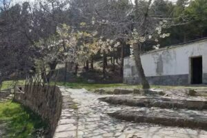 El Cerecillo. Antigua Casa Forestal.