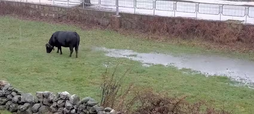 El Cordel de Gredos