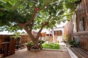 El espejo del Oasis (Radazul)