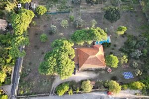 El jard&iacute;n de Manuela
