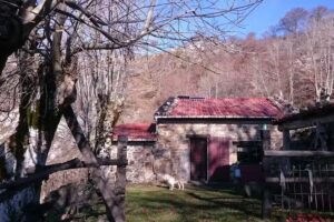 El Llamargu (Llagos, Sobrescobiu, Asturies)