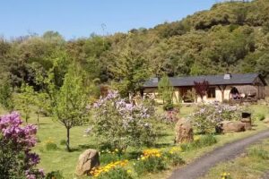 El Mayulón casas rurales