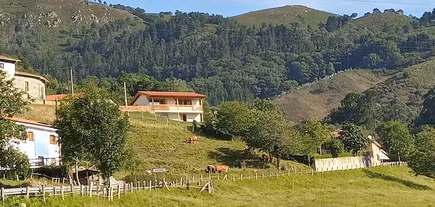 El Mirador de Bodes, Alojamiento Tur&iacute;stico