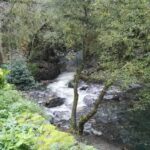 El Mol&iacute; del Montseny