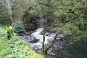 El Mol&iacute; del Montseny