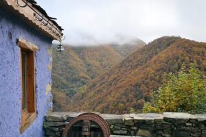 El Oso Burl&oacute;n