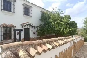 El Pe&ntilde;&oacute;n