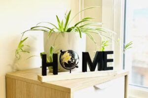 El Rinc&oacute;n de Zuri