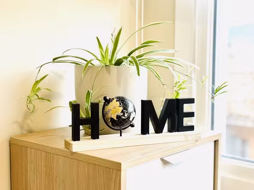 El Rinc&oacute;n de Zuri