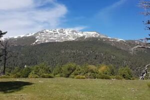 El Rinc&oacute;n del Sanabr&eacute;s