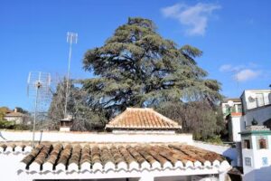 El sabor de la granada Terraza Albaic&iacute;n