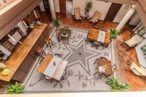 El Secreto del Olivo