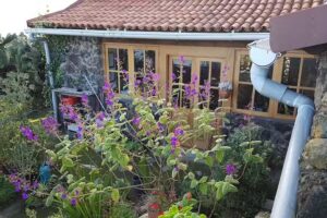 El Tanque / Finca Los Corrales