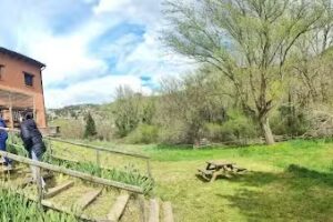 El T&iacute;o Carrasc&oacute;n. Alojamiento rural y granja familiar