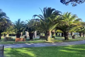 El trastero de Palmero