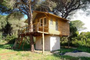 Elf Tree House (La Muela)