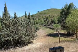 Els Castellans Hostel House