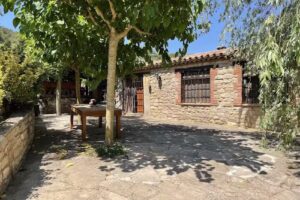 Els Cups del Par&iacute;s