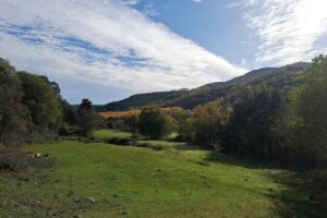 els estudis d&rsquo;Oix