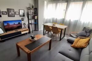 Enjoy Triana apartment