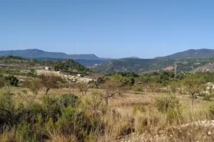 Entrada y Salida Balneario