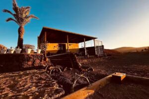 Erbania Heritage, naturally