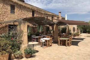 ES RAFAL ROIG &ndash; ES CESTADOR