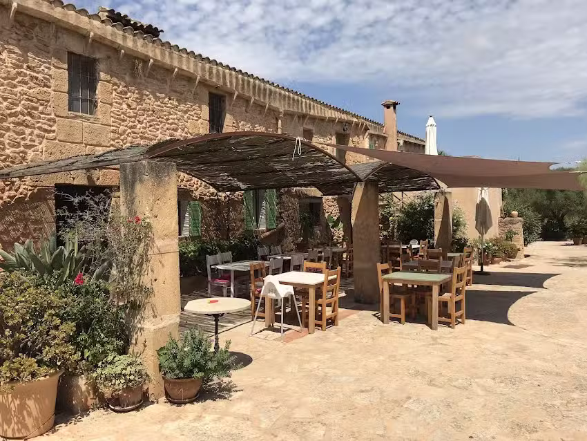 ES RAFAL ROIG &ndash; ES CESTADOR