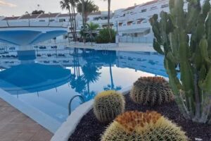 Escapade &agrave; Tenerife app.236