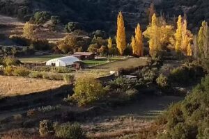 ESCUELA VERDE La Huerta de la Armon&iacute;a