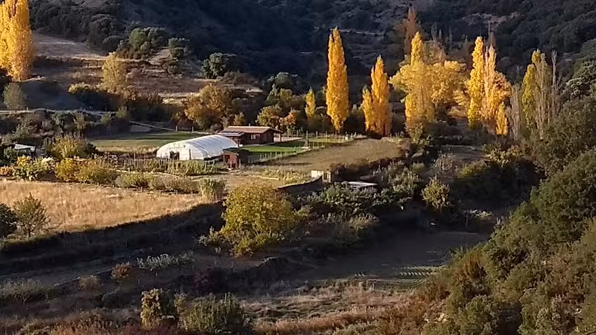ESCUELA VERDE La Huerta de la Armon&iacute;a