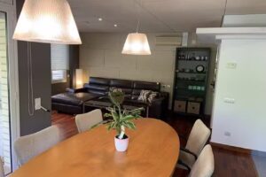 Especial Vic pis turistic