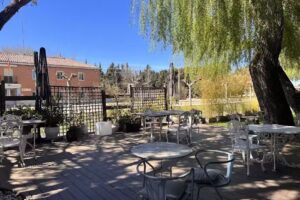 Estrella del Bajo Carri&oacute;n