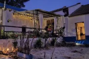 Experience Alpacas in Andalucia