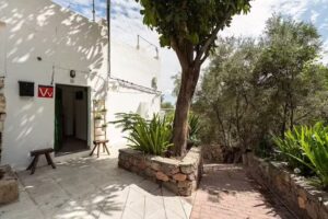 Family Cottage among olive trees