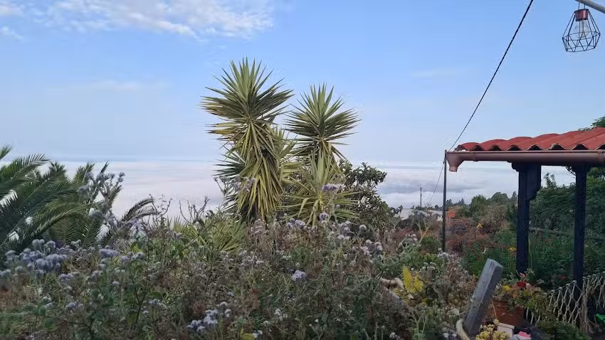 Ferienhaus El Naranjo