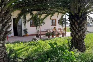 Finca Angela Sevilla