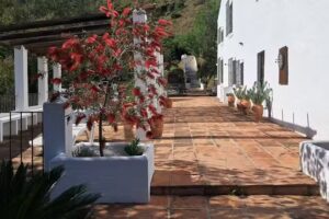 Finca Arroyo de las Adelfas