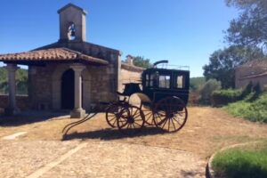 Finca Casas del sevillano